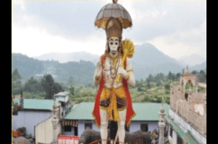 Botanical Garden View